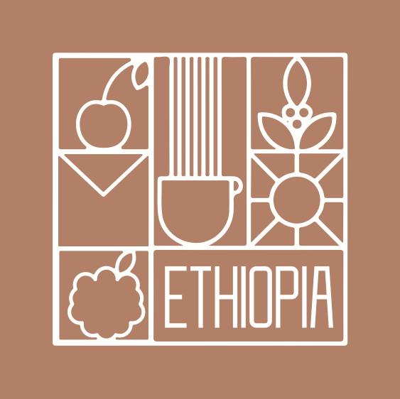 Ethiopia Boreta Natural إثيوبيا بوريتا مجففة