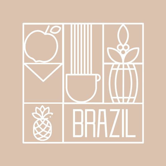 Brazil Agricola B69 برازيل اجريكولا