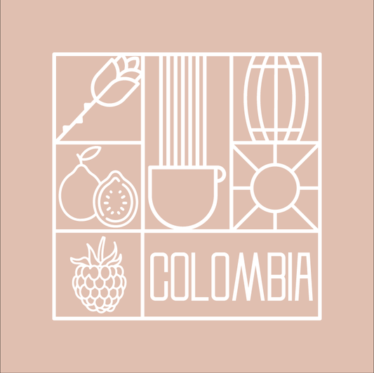 Colombia Cuchimba كولومبيا كوشيمبا