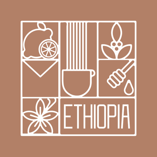 Ethiopia Qonqana Honey  إثيوبيا كونكانا عسليّة