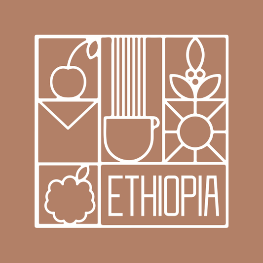 Ethiopia Boreta Natural  إثيوبيا بوريتا مجففة