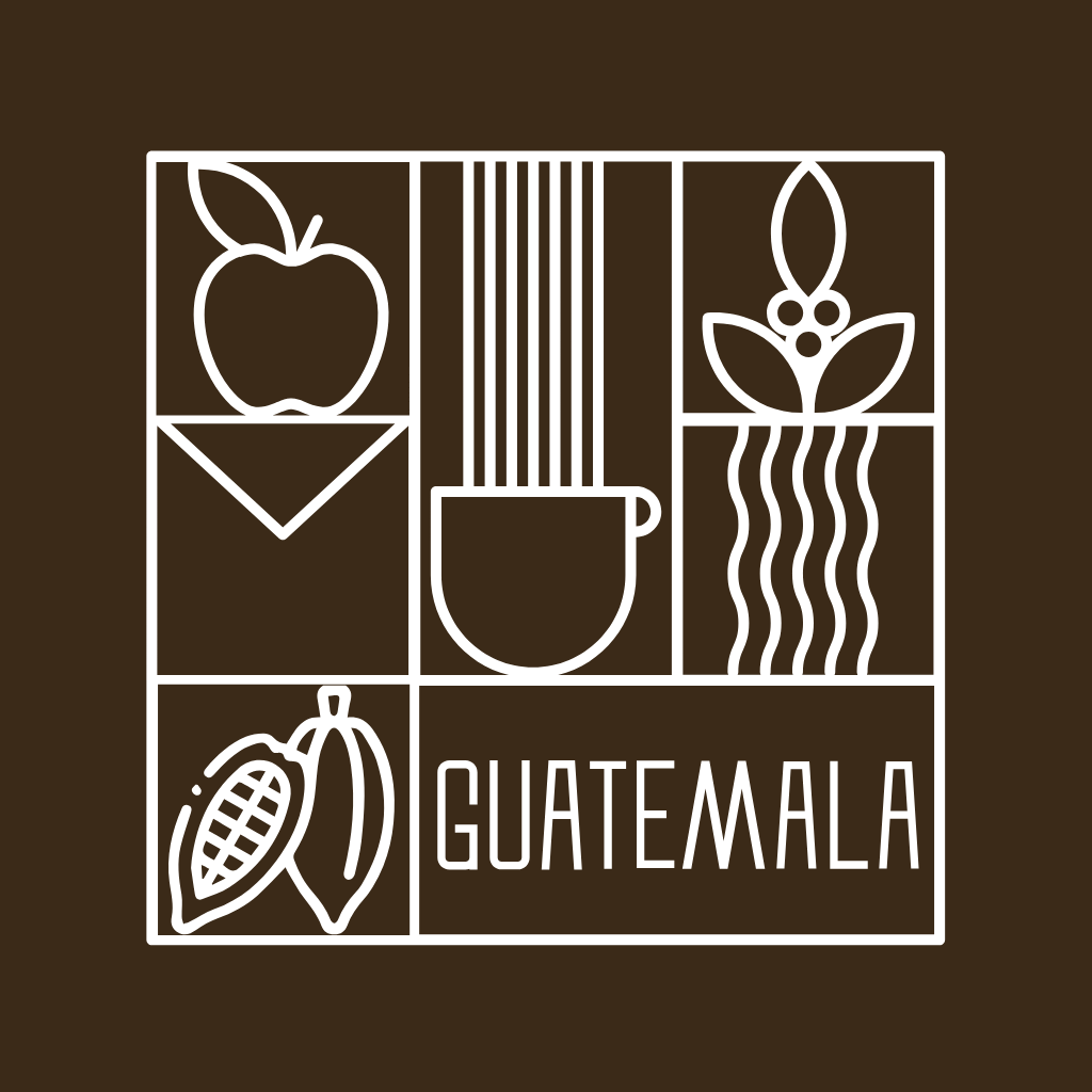 Guatemala Santa Clara Washed غواتيمالا سانتاكلارا