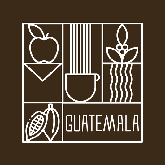 Guatemala Santa Clara Washed غواتيمالا سانتاكلارا